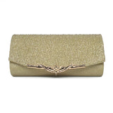 Elegant Woman’s Evening Clutch